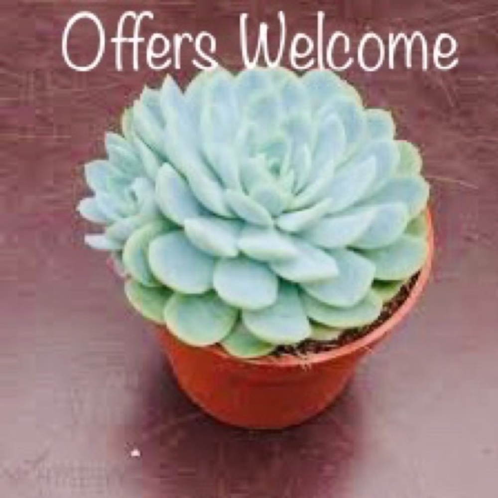 Make me an offer!!